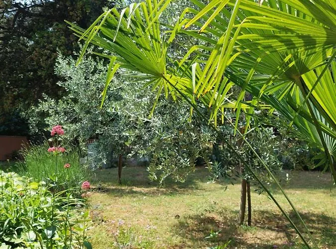 Cozy-family * Poreč