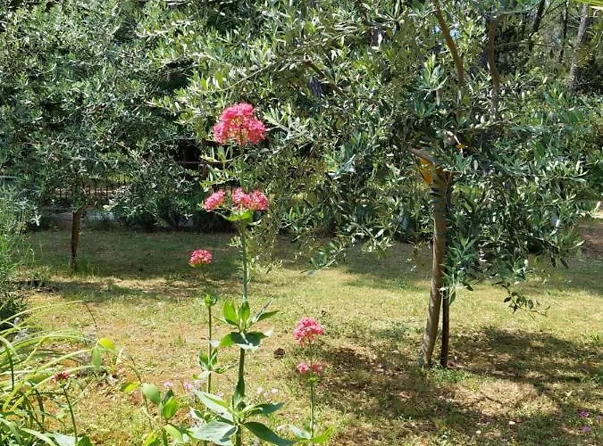 Cozy-family Apartman Poreč