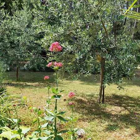 Cozy-family Apartmán Poreč