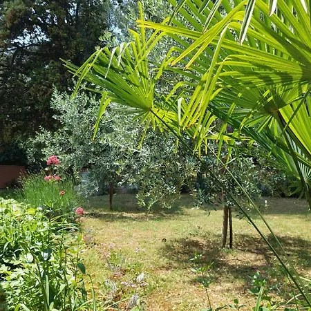 Cozy-family * פורץ