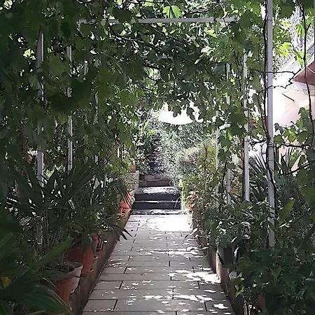 Cozy-family דירה *