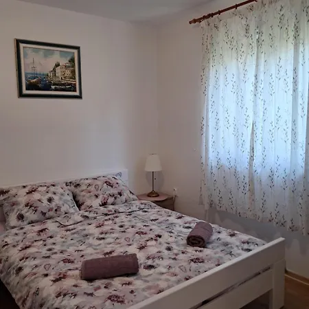 Cozy-family פורץ